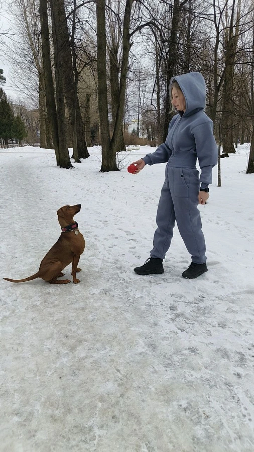 Фотография к отзыву от Оксана.