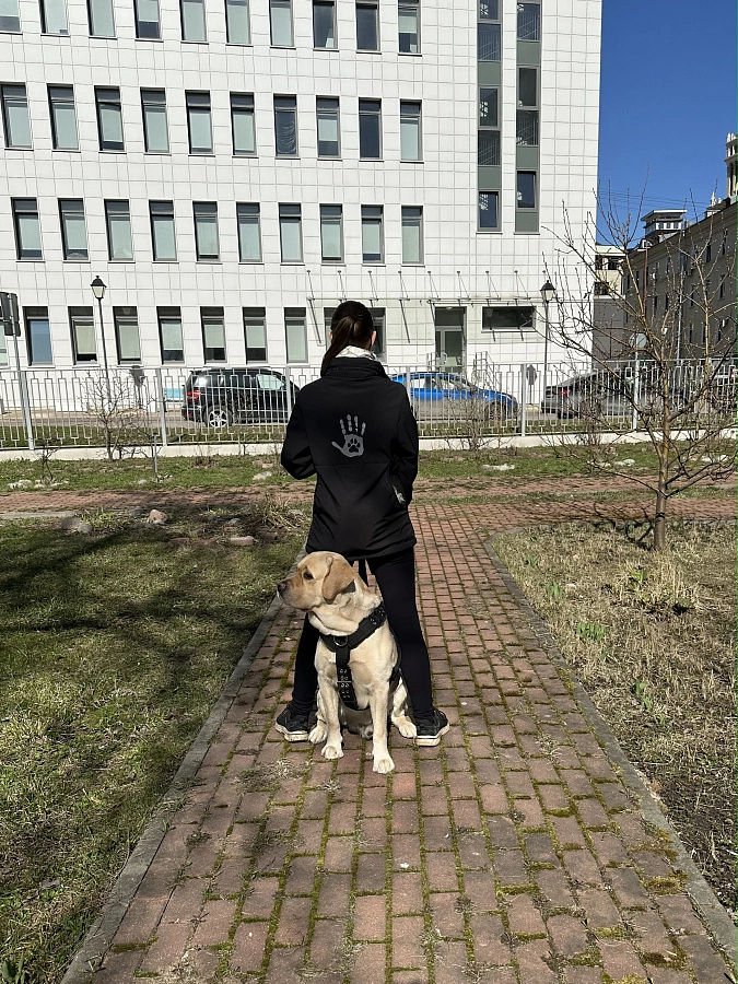 Фотография к отзыву от Алла.