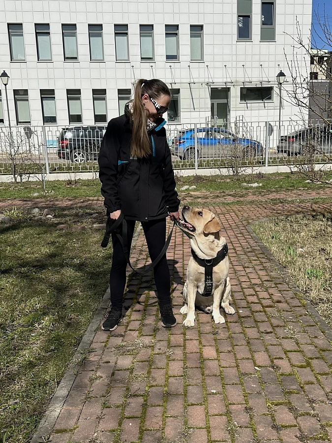 Фотография к отзыву от Алла.