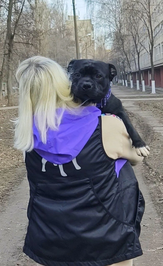 Фотография к отзыву от Елена.